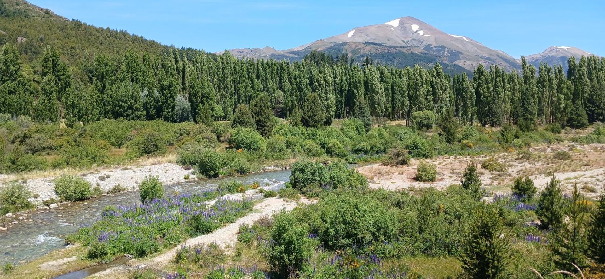 Chalé Challhuaco San Carlos de Bariloche