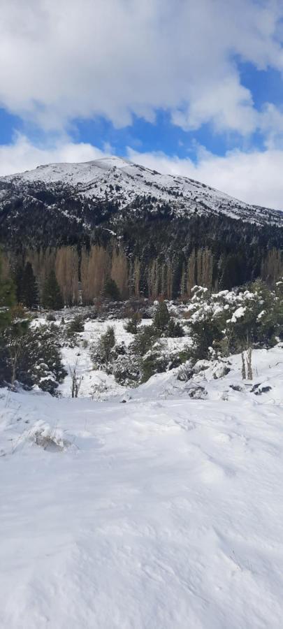 Challhuaco Chalet